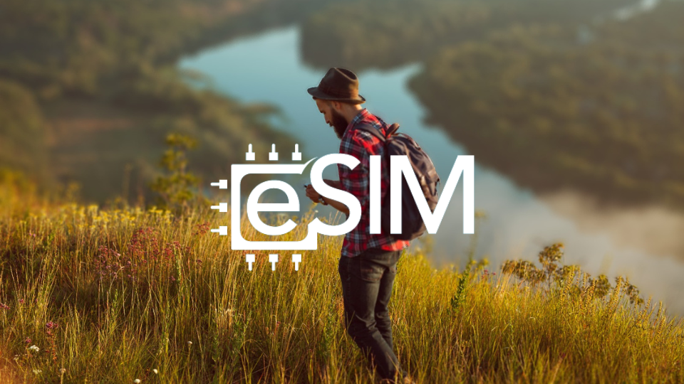 Digital SIM (eSIM) — Explanation