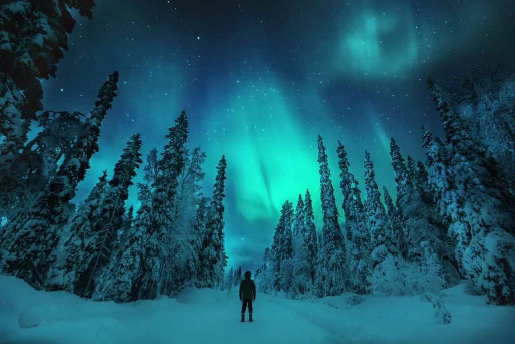 -20° and the Northern Lights in Finland — Winter for Travelling in Lapland