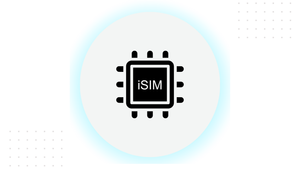 Overview of iSIM