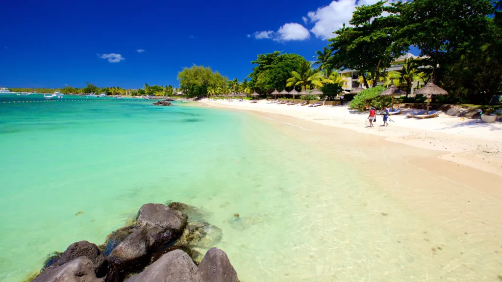 Continuing the Wildlife Theme — Trou aux Biches Beach in Mauritius