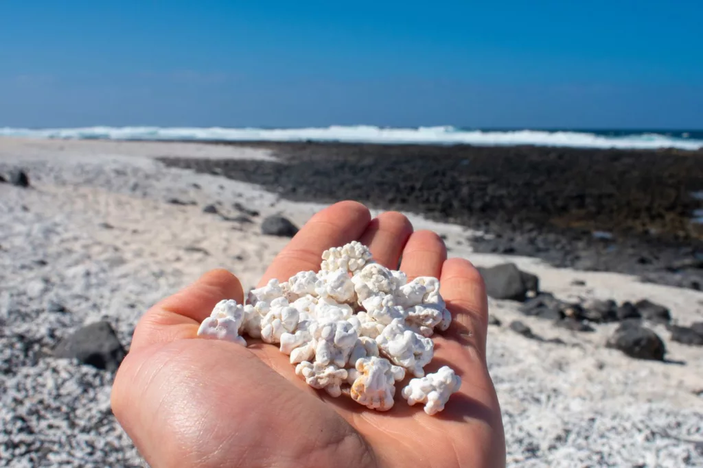 Popcorn Beach in the Canary Islands