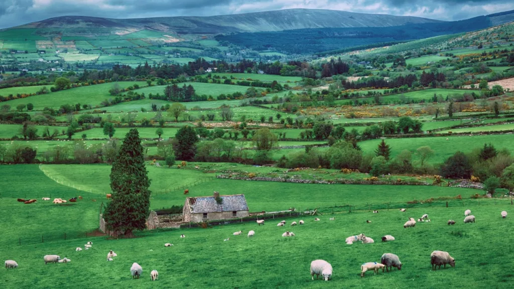 Interesting Facts About Ireland — Why Plan a Trip There?