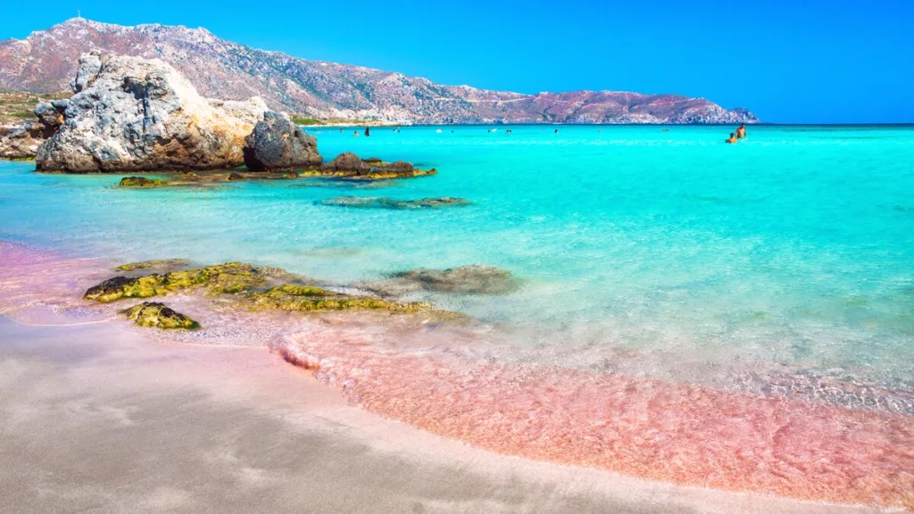 A Wave of Romance — Pink Sand Beach in the Bahamas