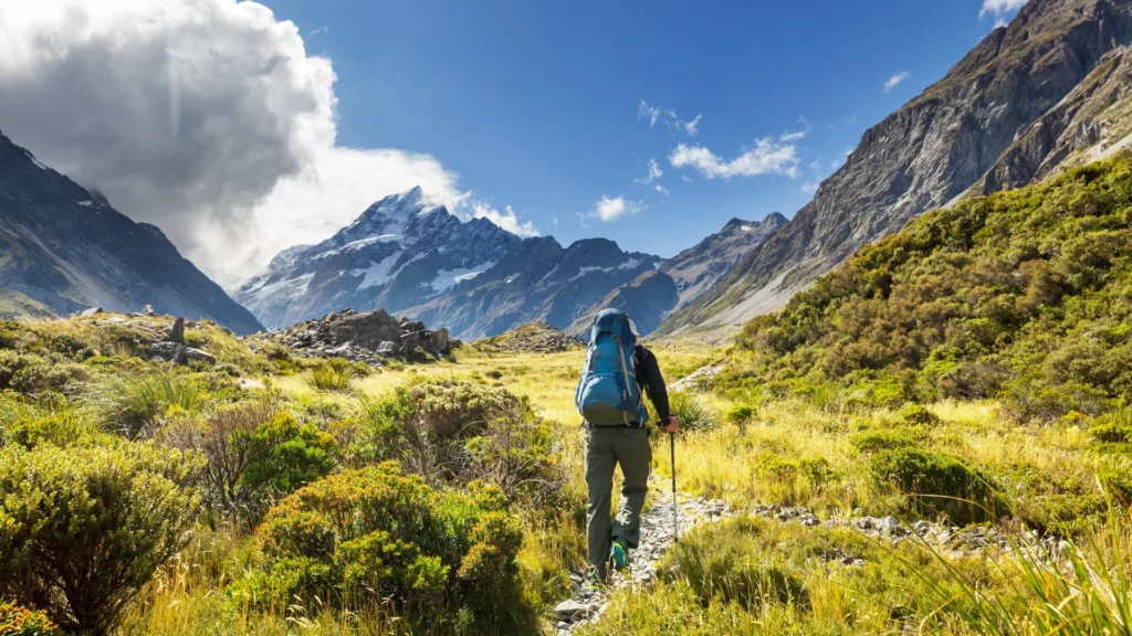 New Zealand — a Land of Kiwi, Hobbit and Unique Nature