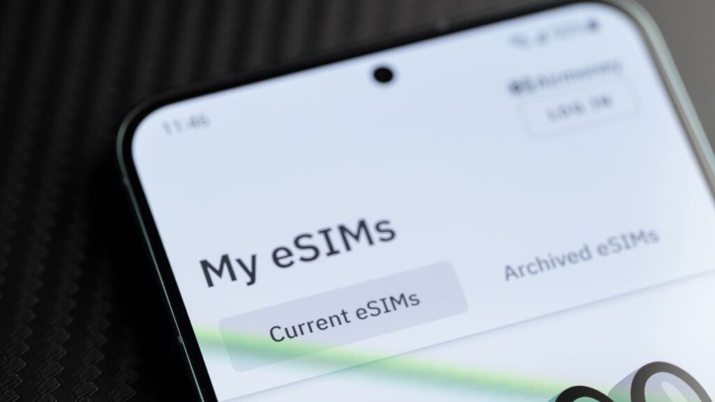 What Defines Portable eSIM Data