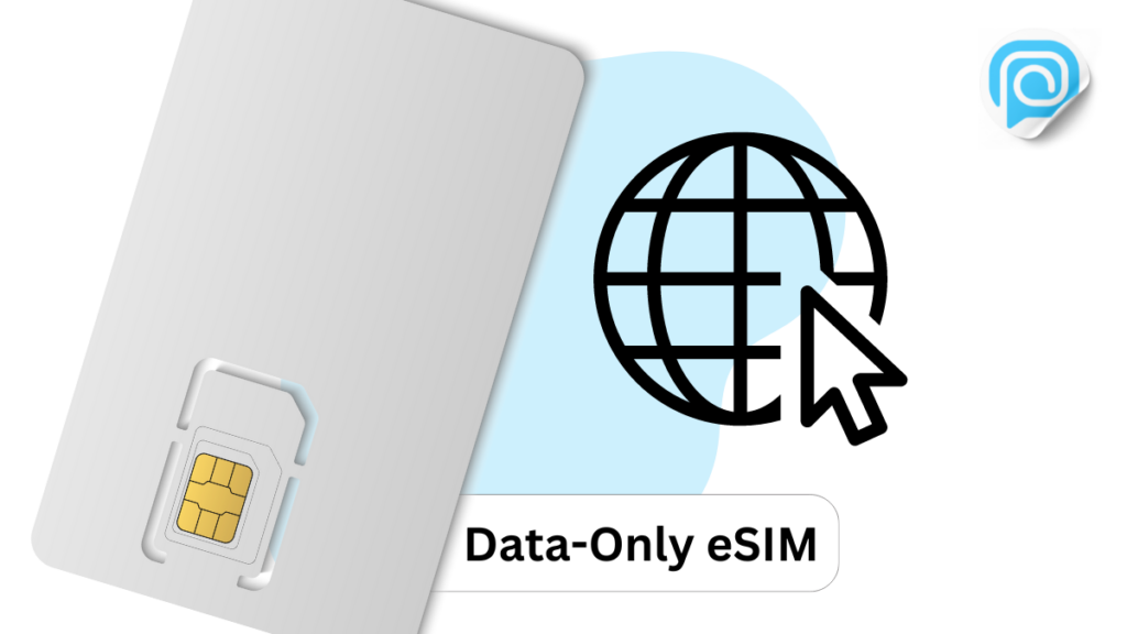 Data Only eSIM