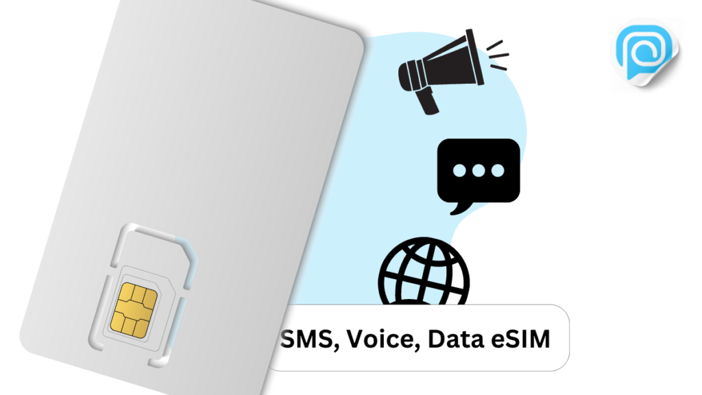 SMS, Voice, and Data eSIM