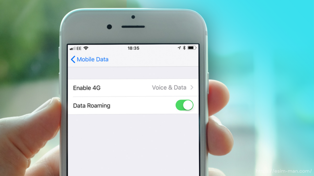Data roaming on iPhone